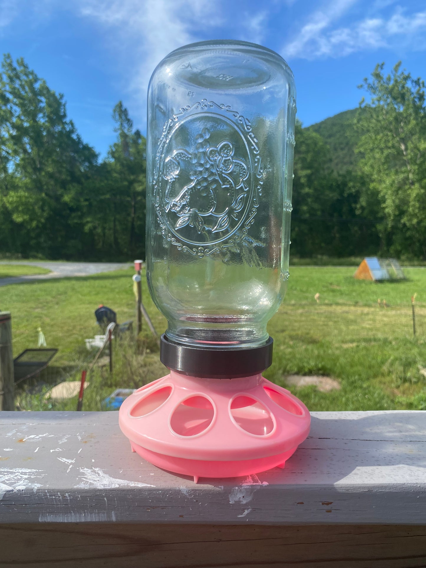 DIY Chicken Feeder Adapter – Fits Wide Mouth Jars for Easy Feeding