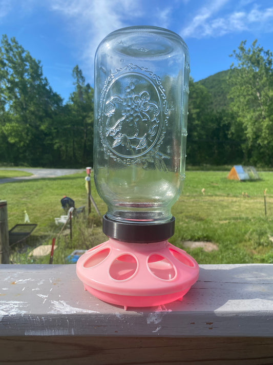 DIY Chicken Feeder Adapter – Fits Wide Mouth Jars for Easy Feeding