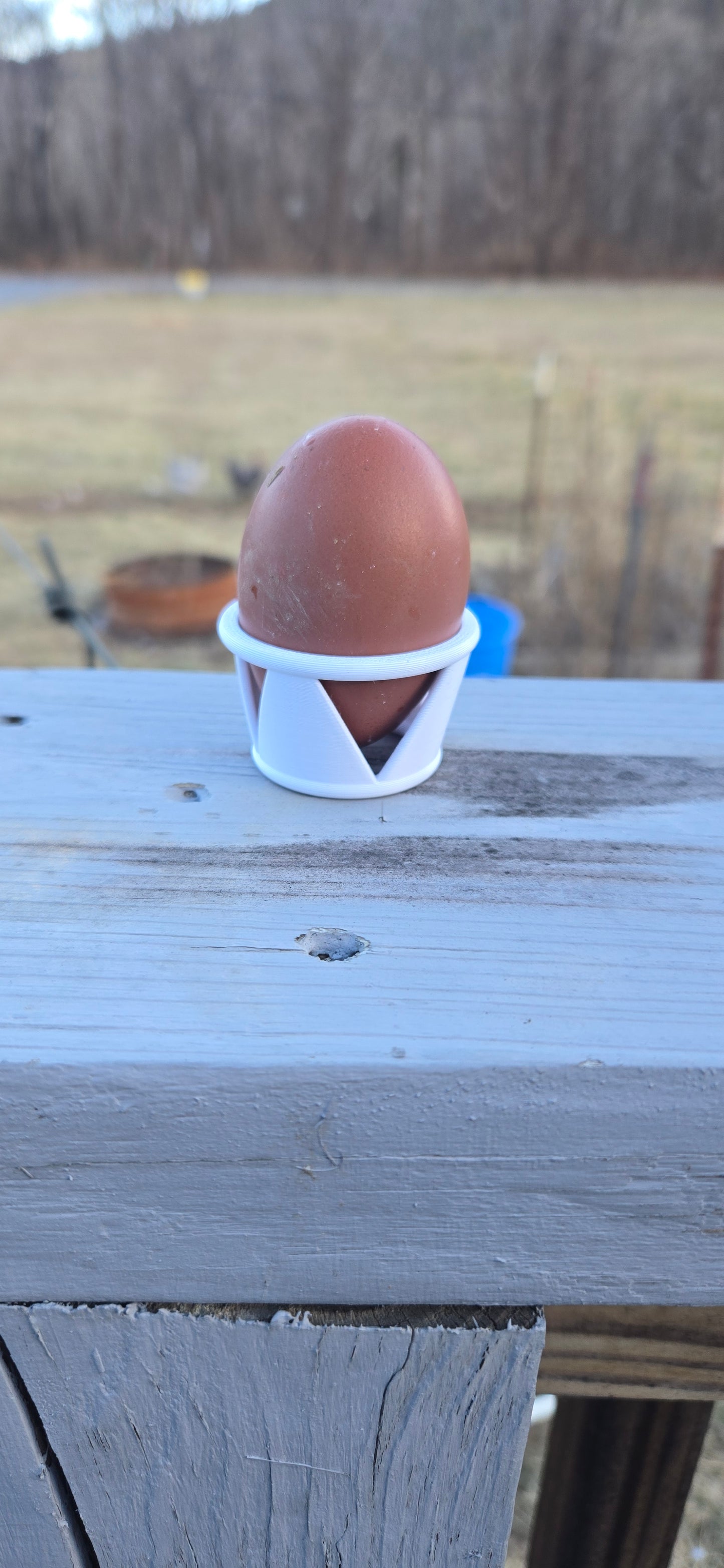 Hatching Egg Stands