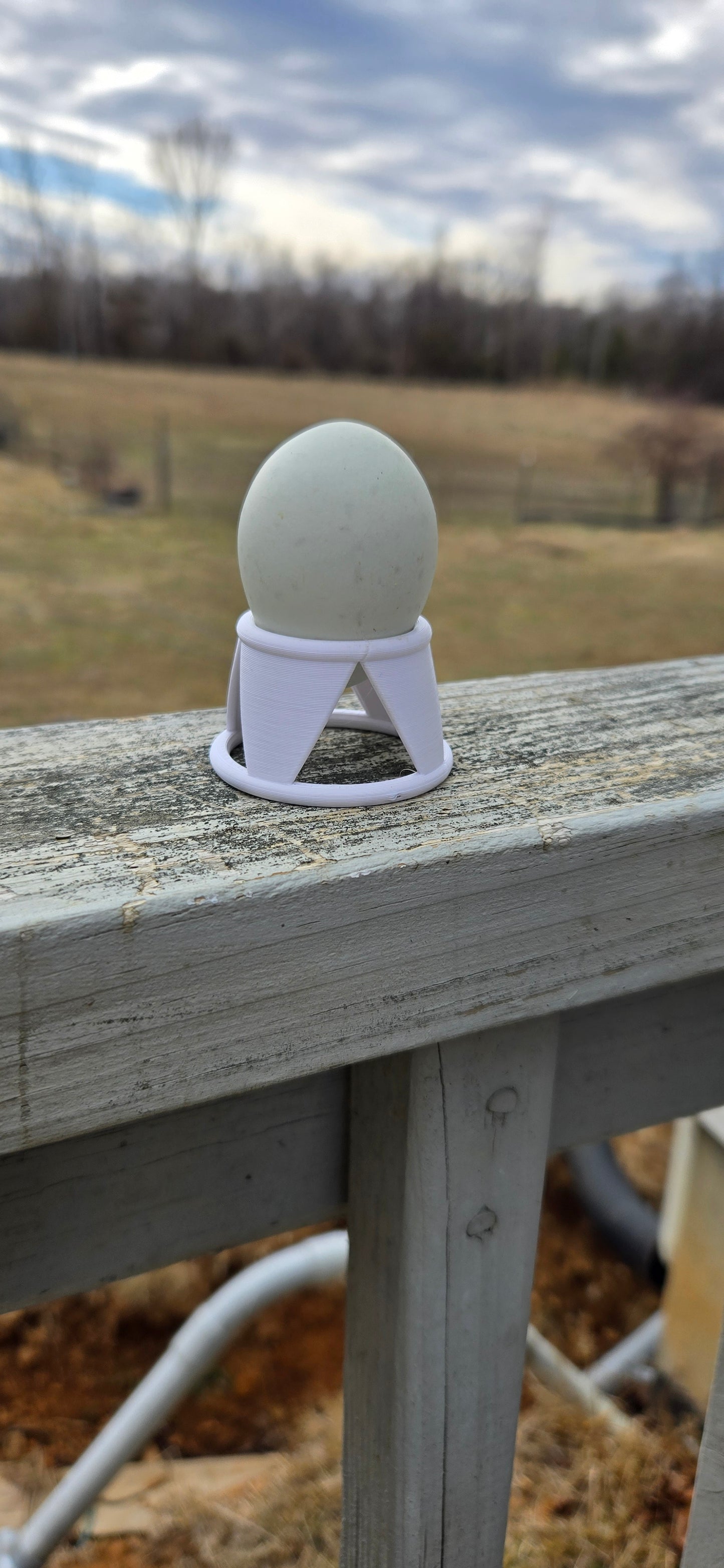 Hatching Egg Stands
